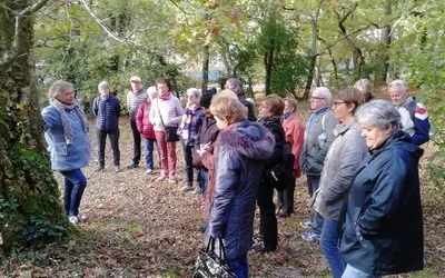 Animation culturelle Ville d'Hiver