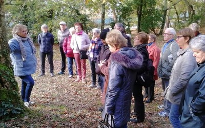 Découverte des plantes sauvages médicinales et comestibles sur le Bassin d'Arcachon